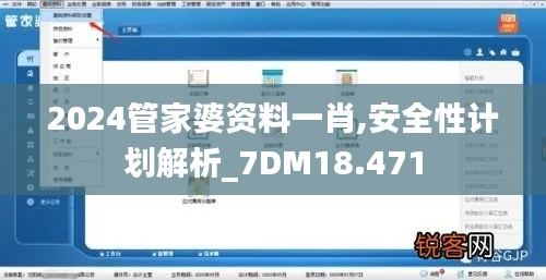 2024管家婆资料一肖,安全性计划解析_7DM18.471