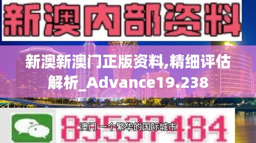 新澳新澳门正版资料,精细评估解析_Advance19.238