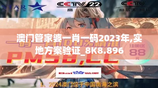 澳门管家婆一肖一码2023年,实地方案验证_8K8.896