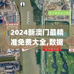 2024新澳门最精准免费大全,数据支持策略解析_手游版7.256