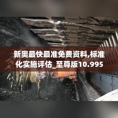 新奥最快最准免费资料,标准化实施评估_至尊版10.995