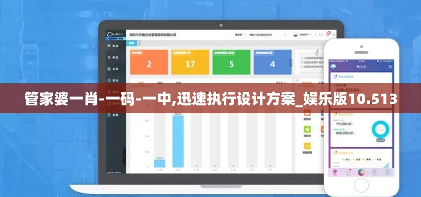 管家婆一肖-一码-一中,迅速执行设计方案_娱乐版10.513