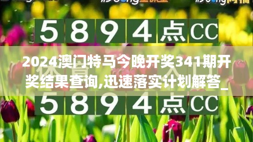 2024澳门特马今晚开奖341期开奖结果查询,迅速落实计划解答_XP11.790