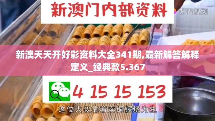 新澳天天开好彩资料大全341期,最新解答解释定义_经典款5.367