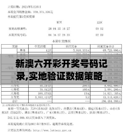 新澳六开彩开奖号码记录,实地验证数据策略_Ultra63.512-8