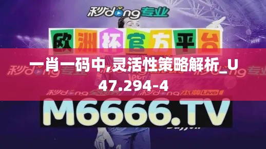 一肖一码中,灵活性策略解析_U47.294-4