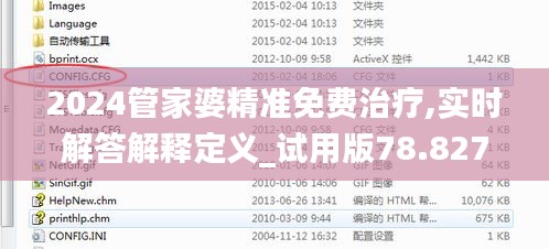 2024管家婆精准免费治疗,实时解答解释定义_试用版78.827-7