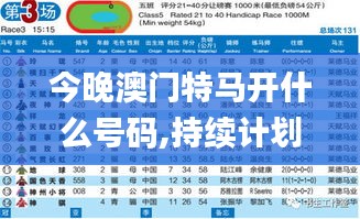 今晚澳门特马开什么号码,持续计划实施_战斗版96.658-5