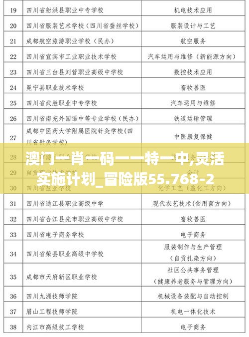 澳门一肖一码一一特一中,灵活实施计划_冒险版55.768-2