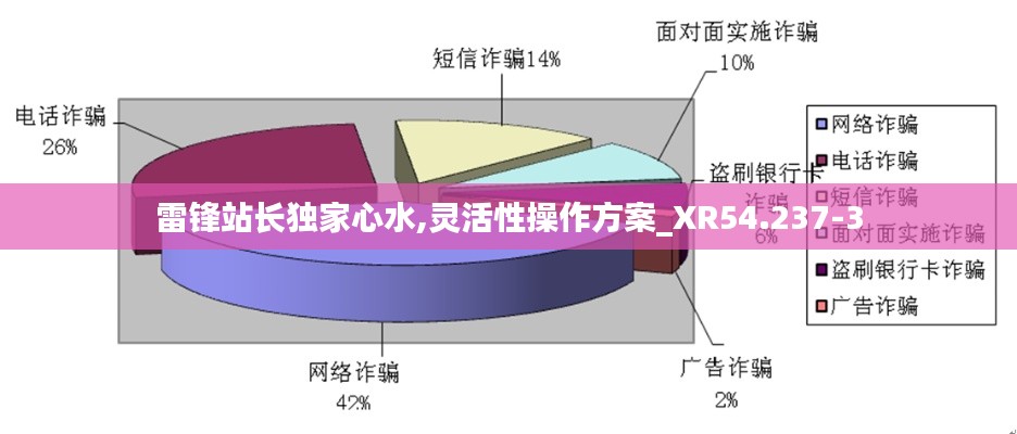 雷锋站长独家心水,灵活性操作方案_XR54.237-3