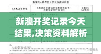 新澳开奖记录今天结果,决策资料解析说明_开发版133.607-8