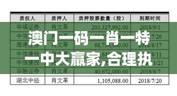 澳门一码一肖一特一中大羸家,合理执行审查_1440p5.313-5