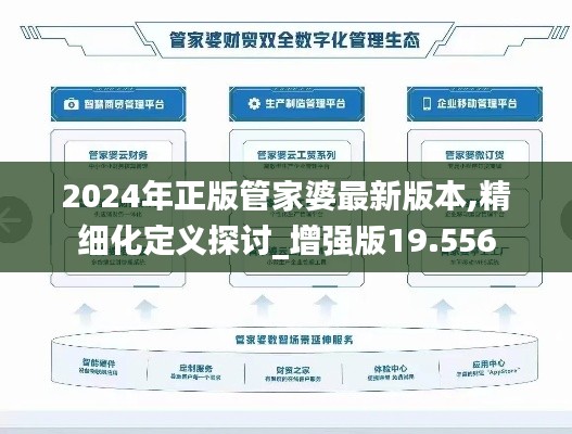 2024年正版管家婆最新版本,精细化定义探讨_增强版19.556