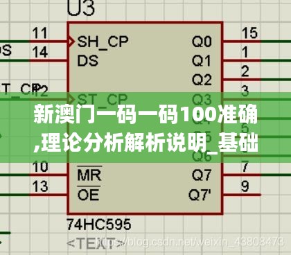 新澳门一码一码100准确,理论分析解析说明_基础版4.911