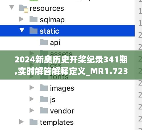 2024新奥历史开桨纪录341期,实时解答解释定义_MR1.723