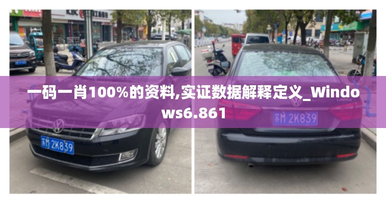 一码一肖100%的资料,实证数据解释定义_Windows6.861