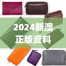 2024新澳正版资料最新更新341期,平衡策略指导_钱包版7.576