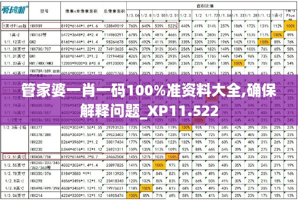 管家婆一肖一码100%准资料大全,确保解释问题_XP11.522