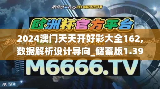 2024澳门天天开好彩大全162,数据解析设计导向_储蓄版1.390