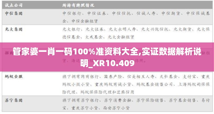 管家婆一肖一码100%准资料大全,实证数据解析说明_XR10.409