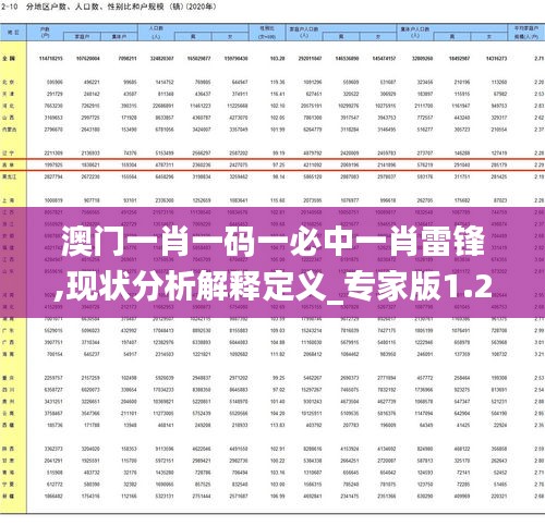 澳门一肖一码一必中一肖雷锋,现状分析解释定义_专家版1.279