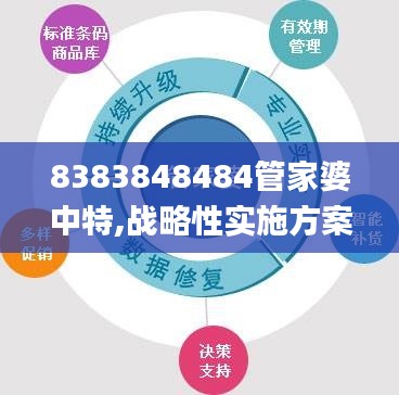 8383848484管家婆中特,战略性实施方案优化_P版3.458