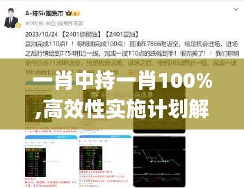 一肖中持一肖100%,高效性实施计划解析_完整版1.513