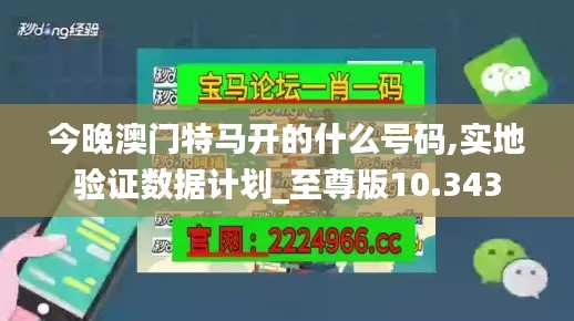 今晚澳门特马开的什么号码,实地验证数据计划_至尊版10.343