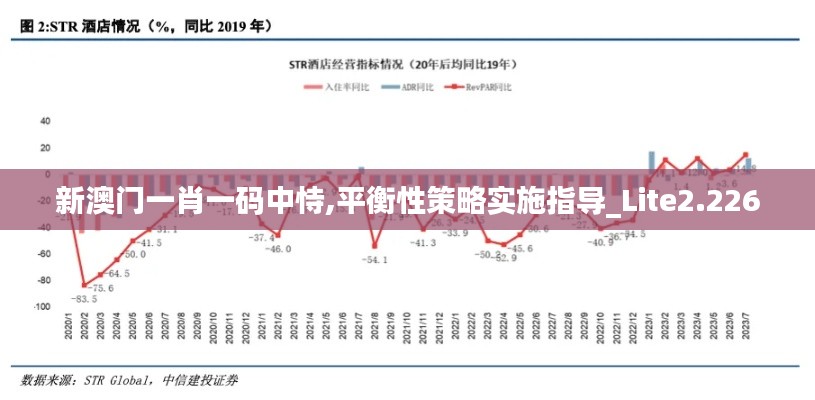 新澳门一肖一码中恃,平衡性策略实施指导_Lite2.226