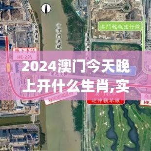 2024澳门今天晚上开什么生肖,实地策略计划验证_动态版6.212