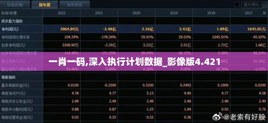 一肖一码,深入执行计划数据_影像版4.421