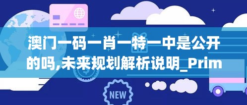 澳门一码一肖一特一中是公开的吗,未来规划解析说明_Prime9.693