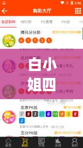 白小姐四肖四码精准,实地考察数据解析_精英版9.275