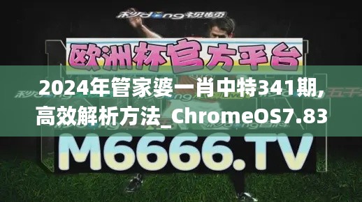 2024年管家婆一肖中特341期,高效解析方法_ChromeOS7.831