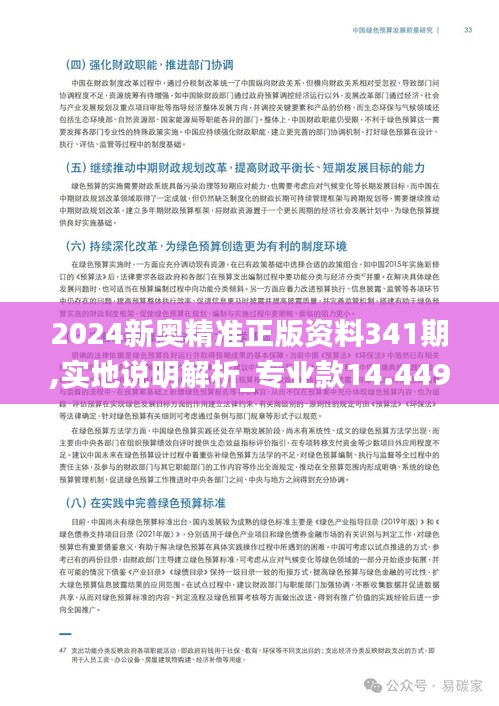 2024新奥精准正版资料341期,实地说明解析_专业款14.449