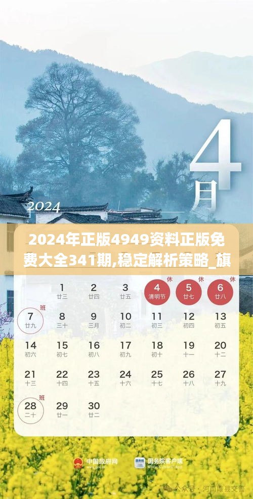 2024年正版4949资料正版免费大全341期,稳定解析策略_旗舰款6.116