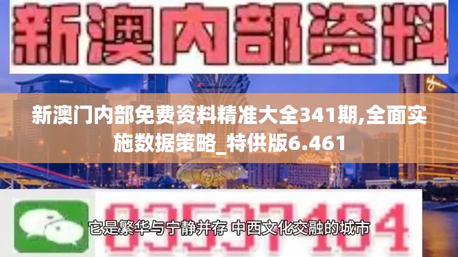 新澳门内部免费资料精准大全341期,全面实施数据策略_特供版6.461