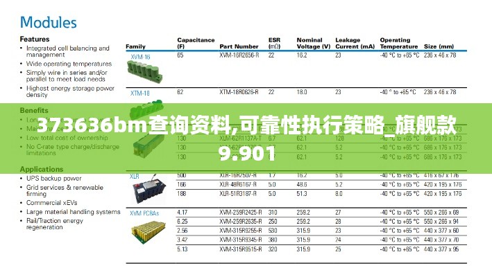 373636bm查询资料,可靠性执行策略_旗舰款9.901
