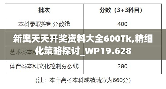新奥天天开奖资料大全600Tk,精细化策略探讨_WP19.628