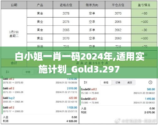 白小姐一肖一码2024年,适用实施计划_Gold3.297