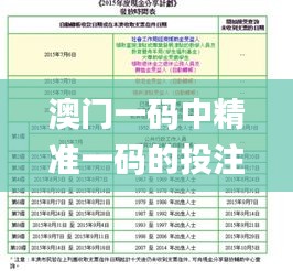 澳门一码中精准一码的投注技巧分享,高效计划设计实施_探索版1.373