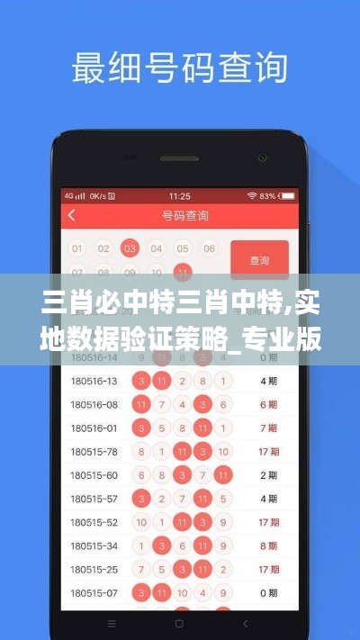 三肖必中特三肖中特,实地数据验证策略_专业版1.312