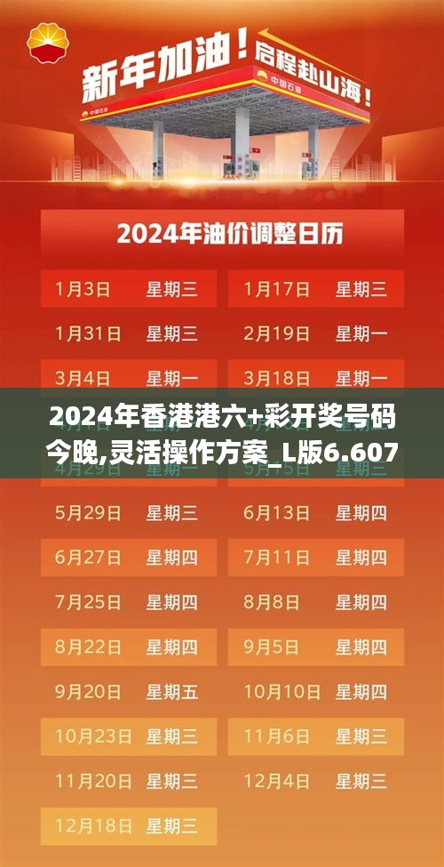 2024年香港港六+彩开奖号码今晚,灵活操作方案_L版6.607