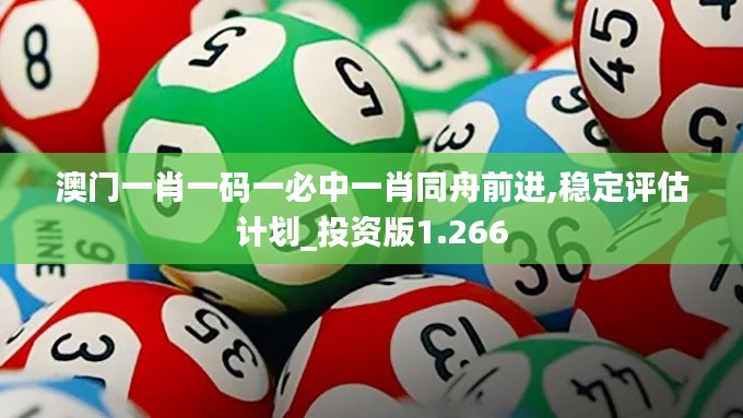 澳门一肖一码一必中一肖同舟前进,稳定评估计划_投资版1.266