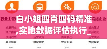 白小姐四肖四码精准,实地数据评估执行_NE版6.366