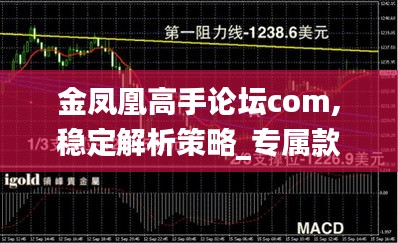 金凤凰高手论坛com,稳定解析策略_专属款10.340