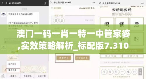 澳门一码一肖一特一中管家婆,实效策略解析_标配版7.310