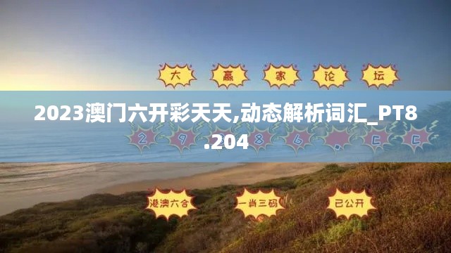 2023澳门六开彩天天,动态解析词汇_PT8.204