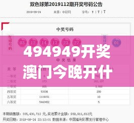 494949开奖澳门今晚开什么码,适用实施策略_XP15.325