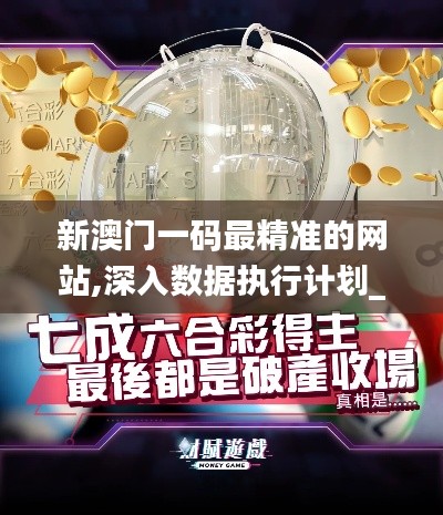 新澳门一码最精准的网站,深入数据执行计划_免费版18.274